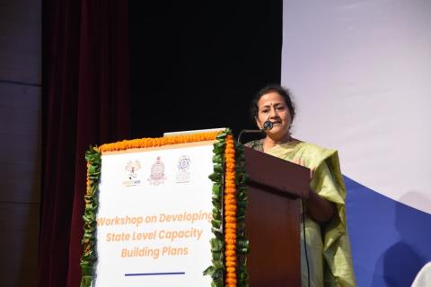 Catalysing Capacity Building in States: Workshop on Developing State-Level Capacity Building Plans